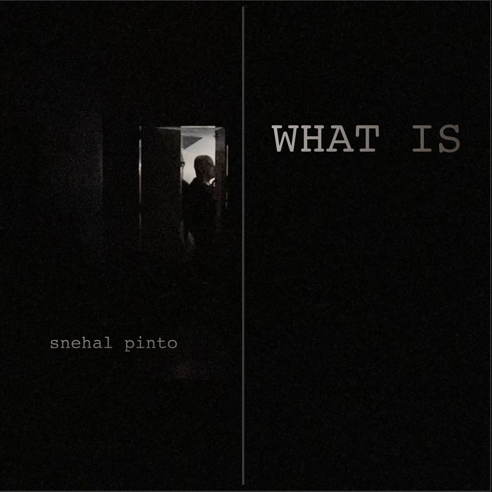 album cover of third album 'what is'