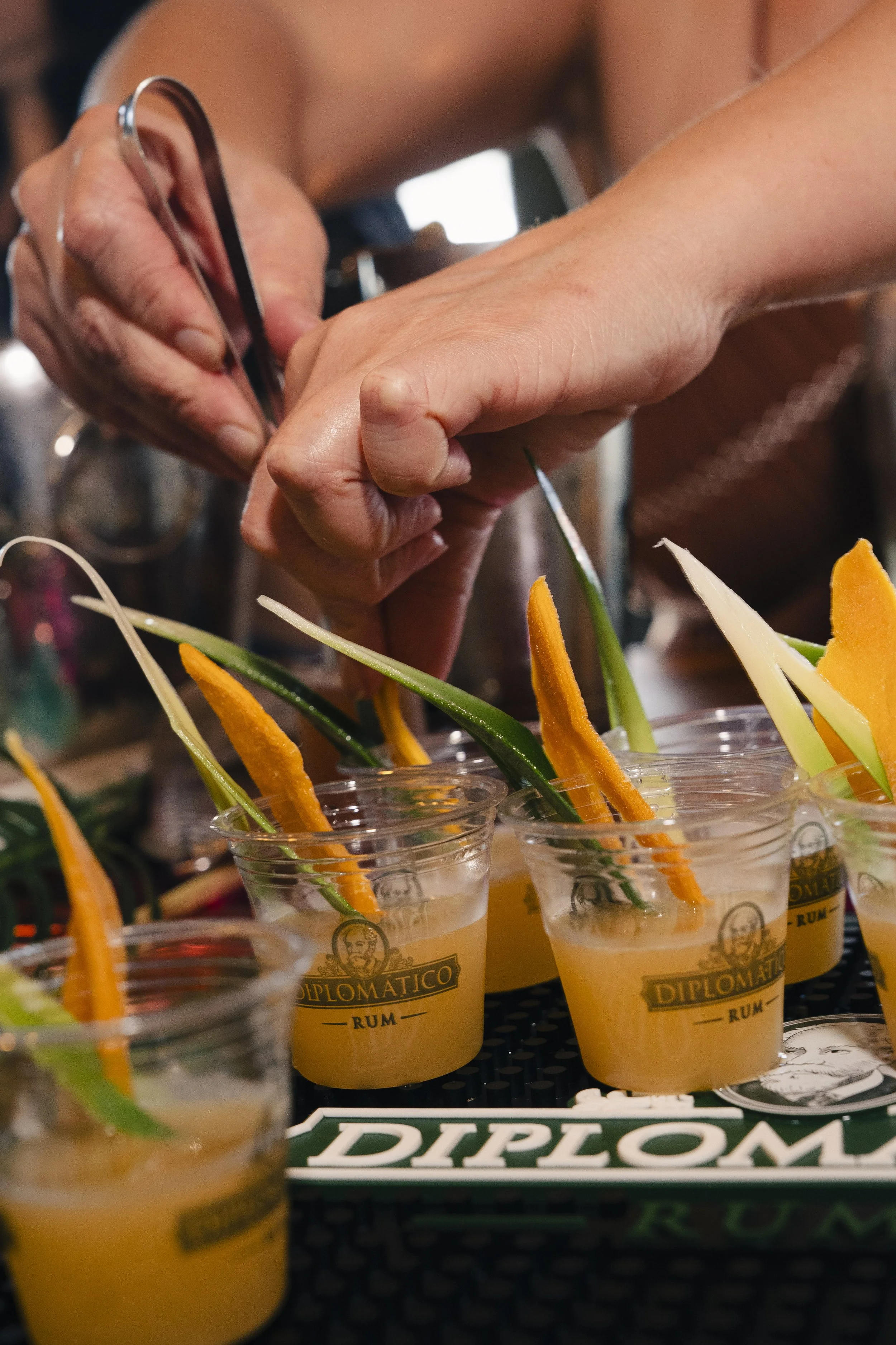 The Craft Cocktail Experience