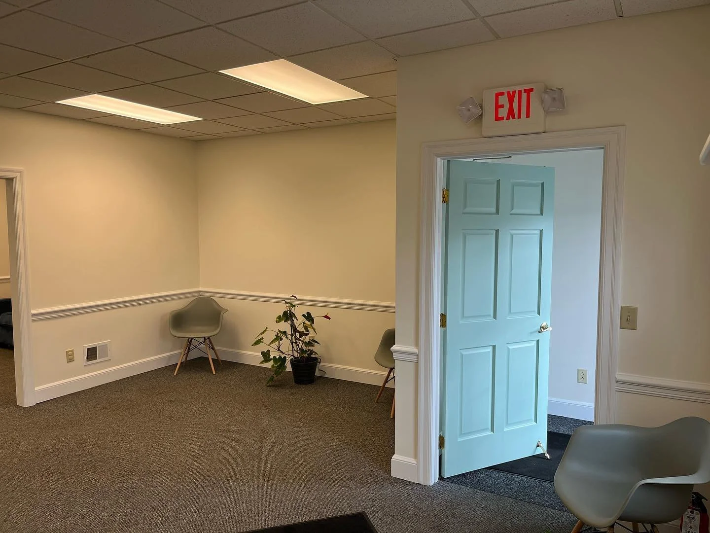 An interior view of a room with beige walls, gray carpet, and a drop ceiling with fluorescent lighting. There are two chairs, one near the corner and another in the foreground, and a potted plant near the wall. A door with a greenish hue is partially