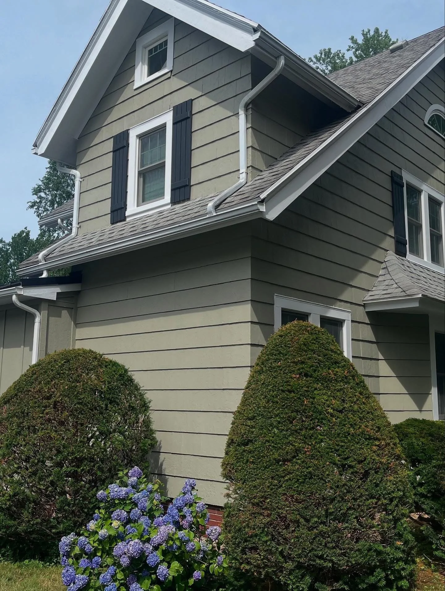 A two-story house with beige siding, black window shutters, and a gray shingled roof surrounded by well-maintained bushes and purple hydrangea flowers in the front yard.