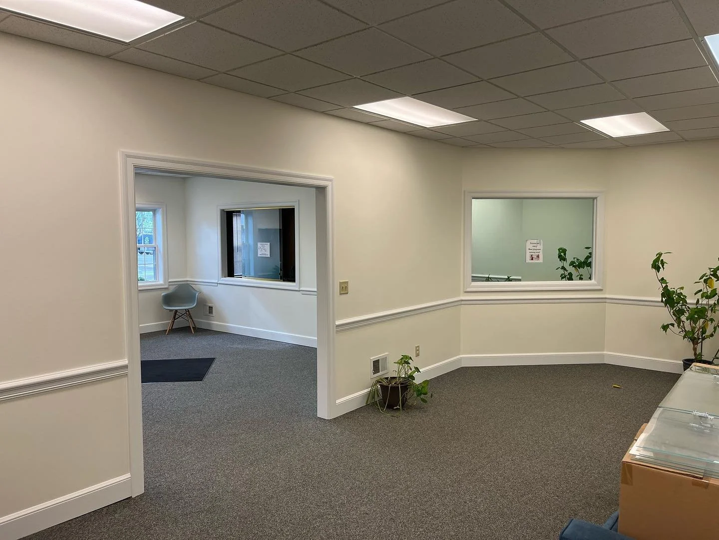 Empty office space with beige walls, gray carpet, ceiling lights, windows, potted plants, and a chair.