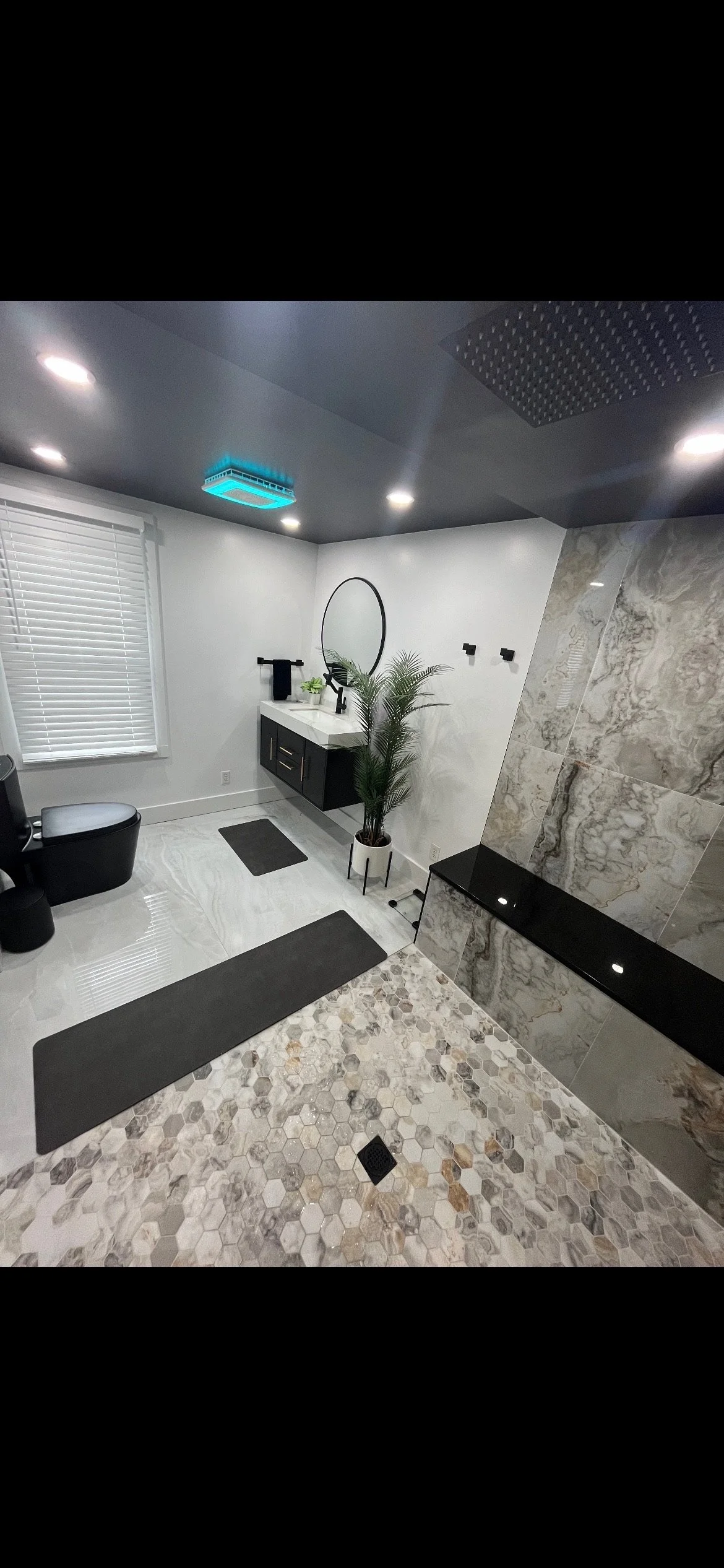 Modern bathroom with a vanity mirror, black fixtures, a potted plant, black and white decor, and a combination of hexagonal and marble tile flooring.