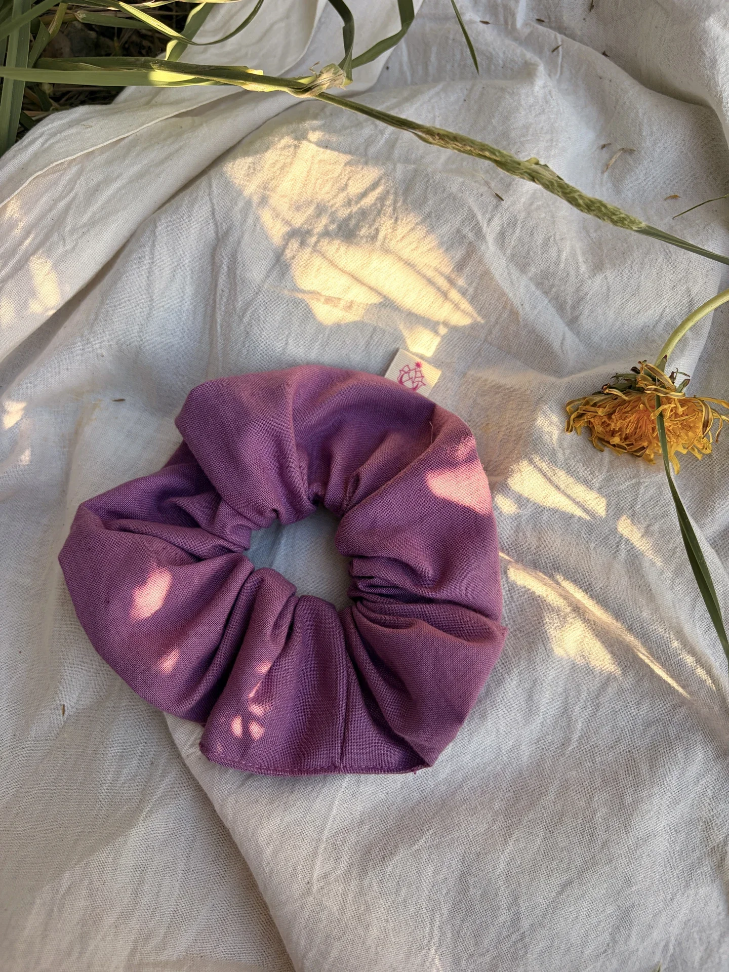 IMG_3934 2_resultado.webp