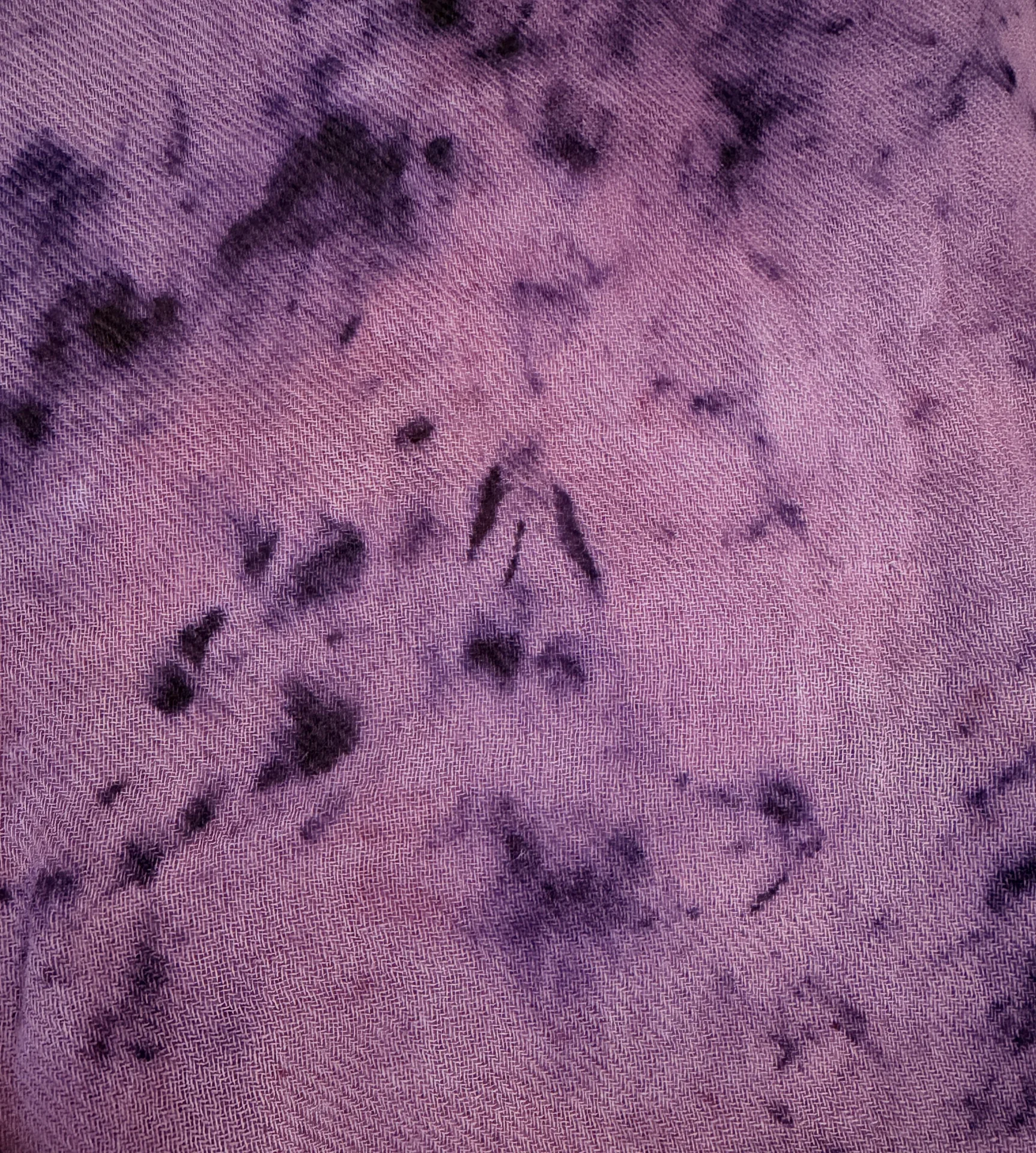 IMG_4187 2_resultado.webp