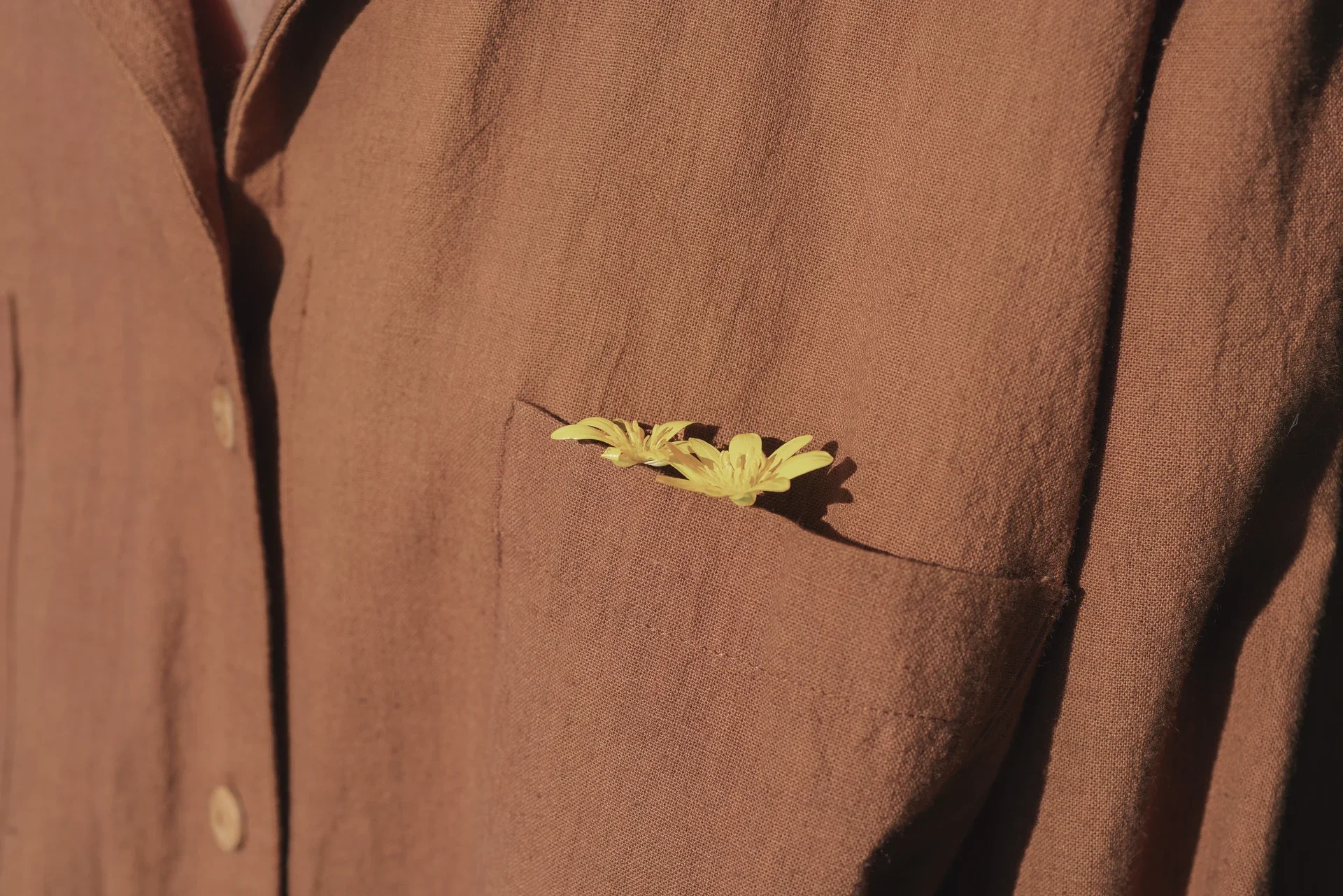 _DSC2174 copia 2_resultado.webp