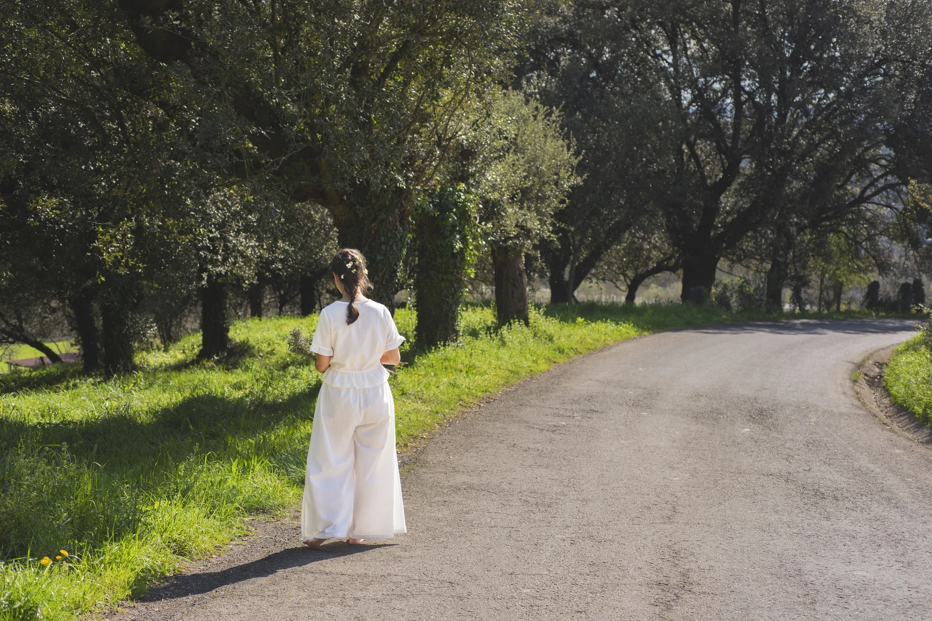 _DSC1777 copia_resultado.webp