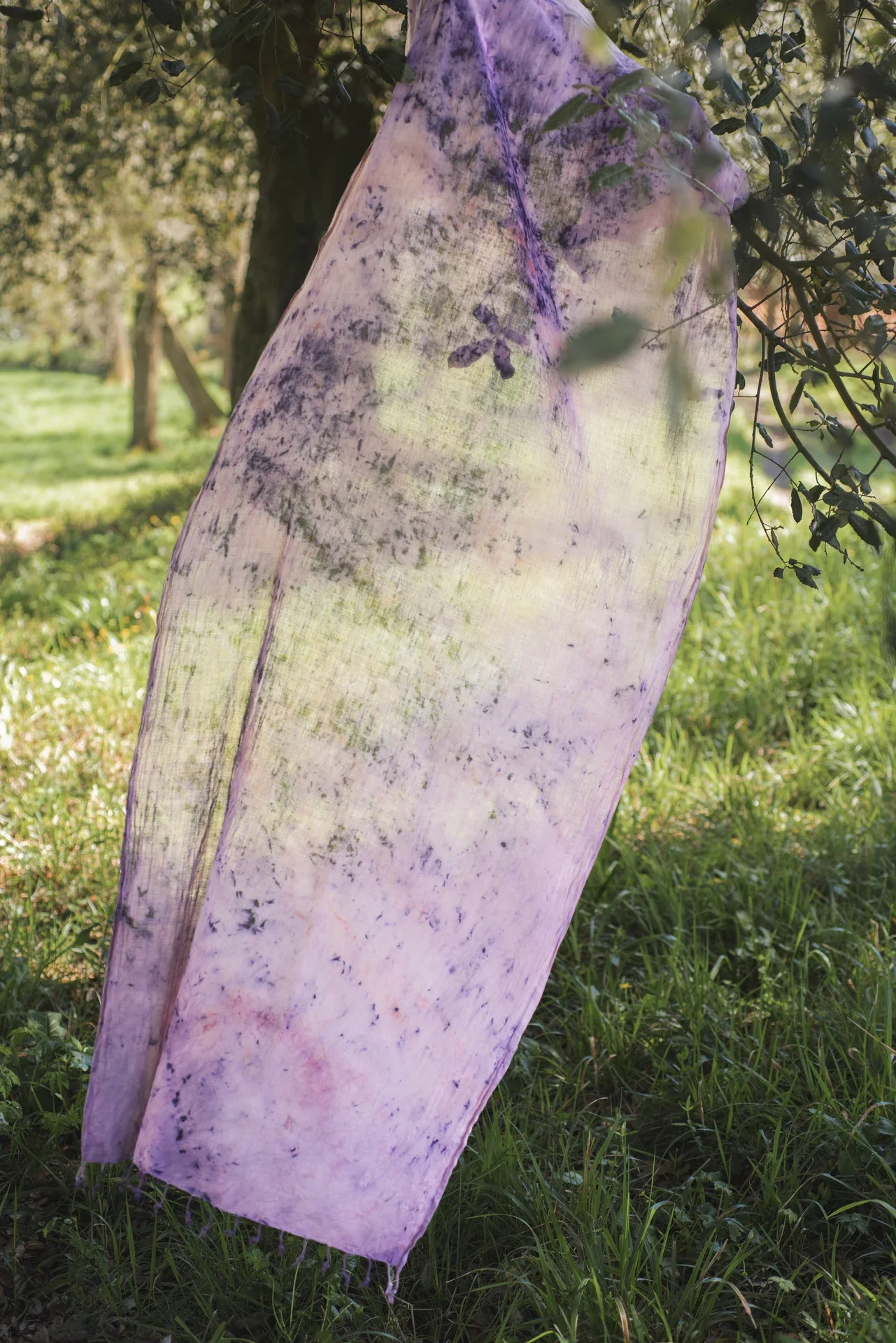 _DSC1738 copia 3_resultado.webp