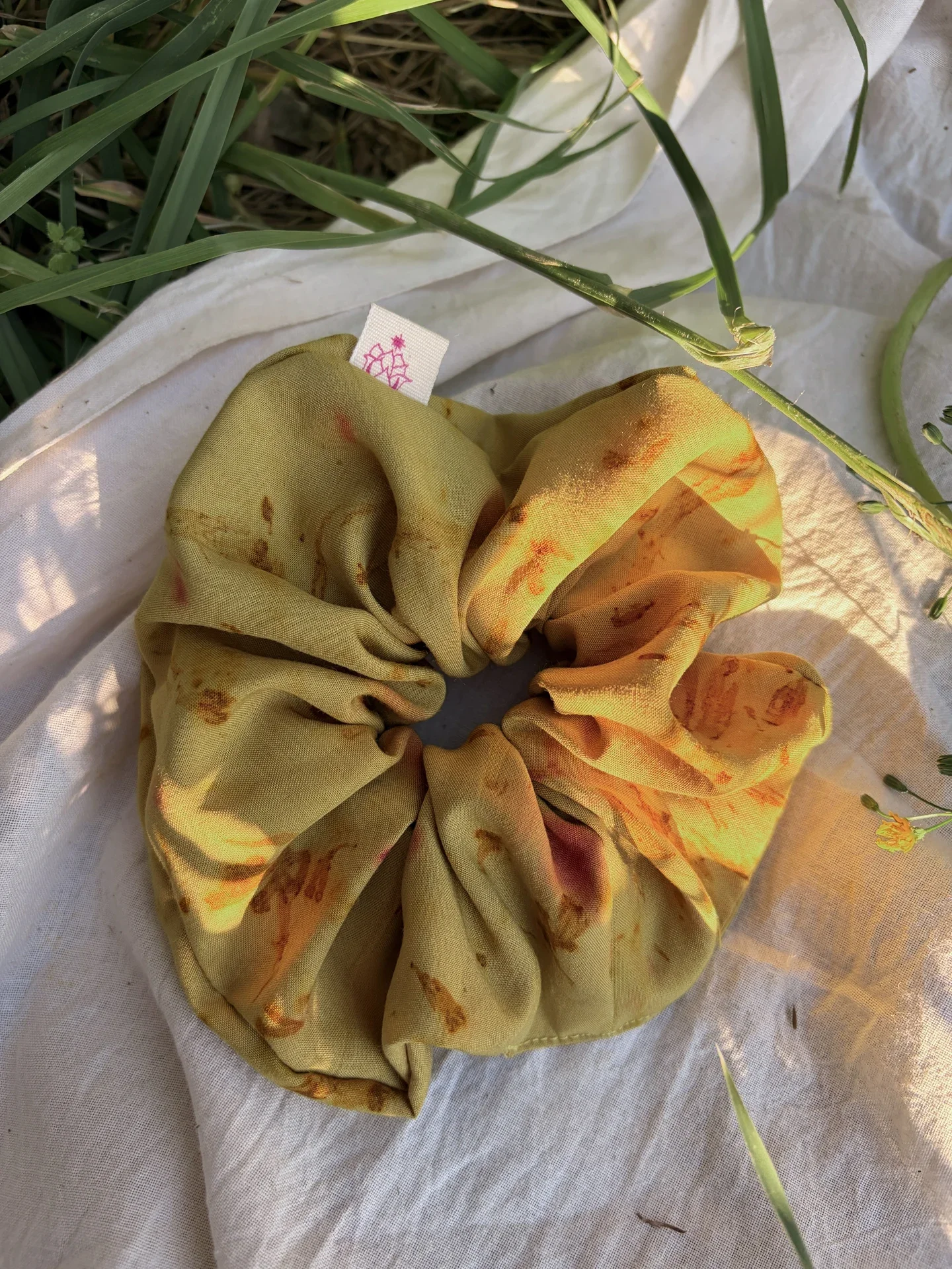 IMG_3929 2_resultado.webp