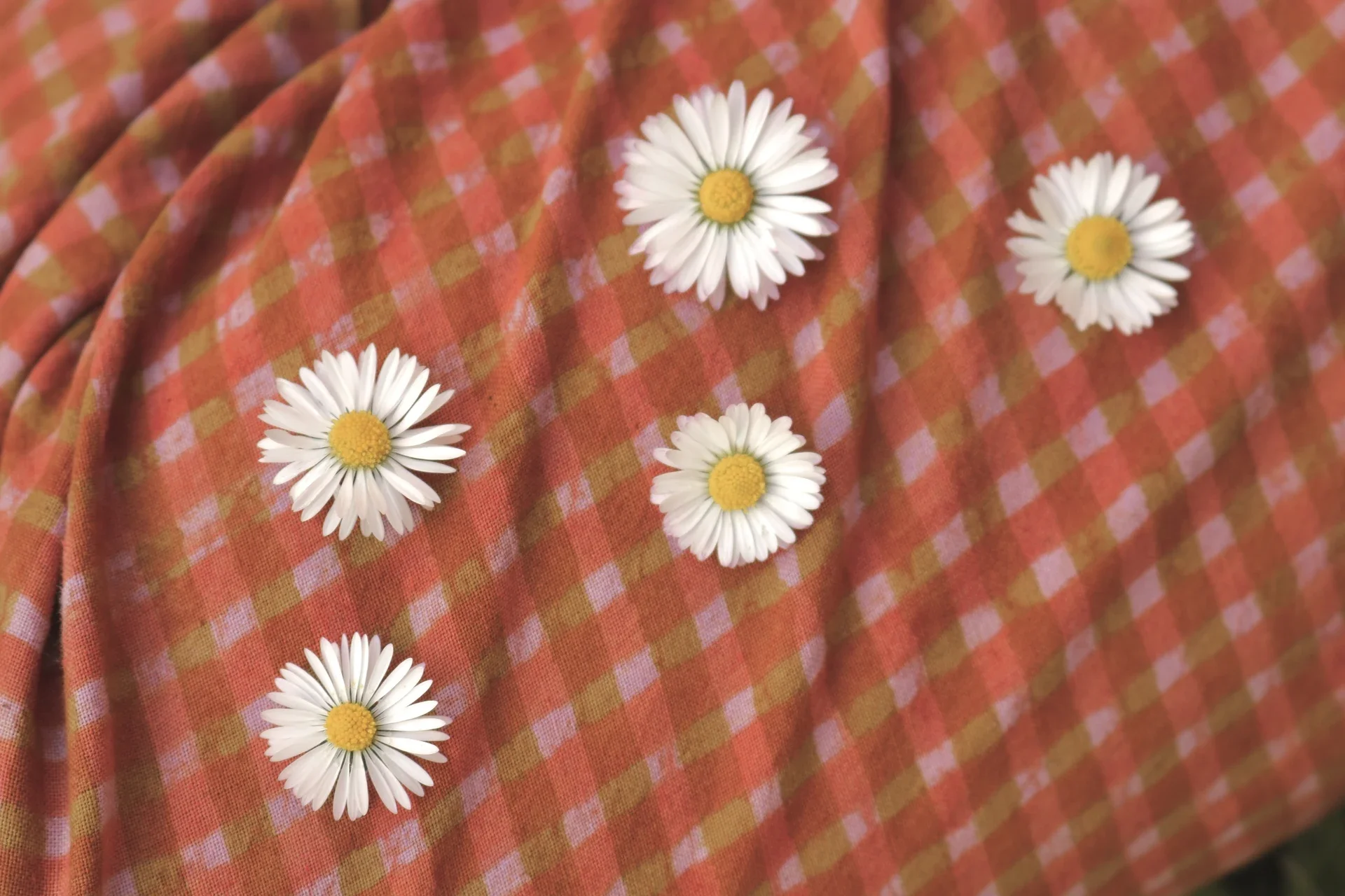 pantalon-indira-algodon-organico-estampado-artesanal-8.webp