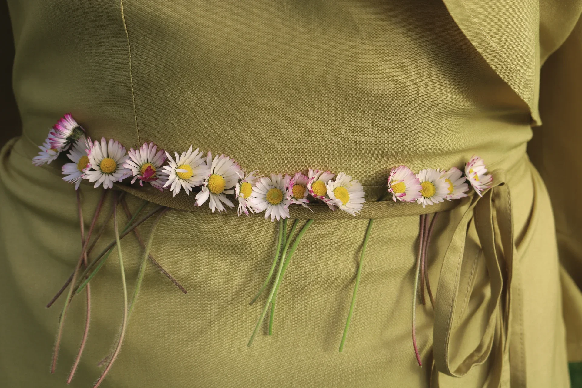 IMG_0317 2_resultado.webp