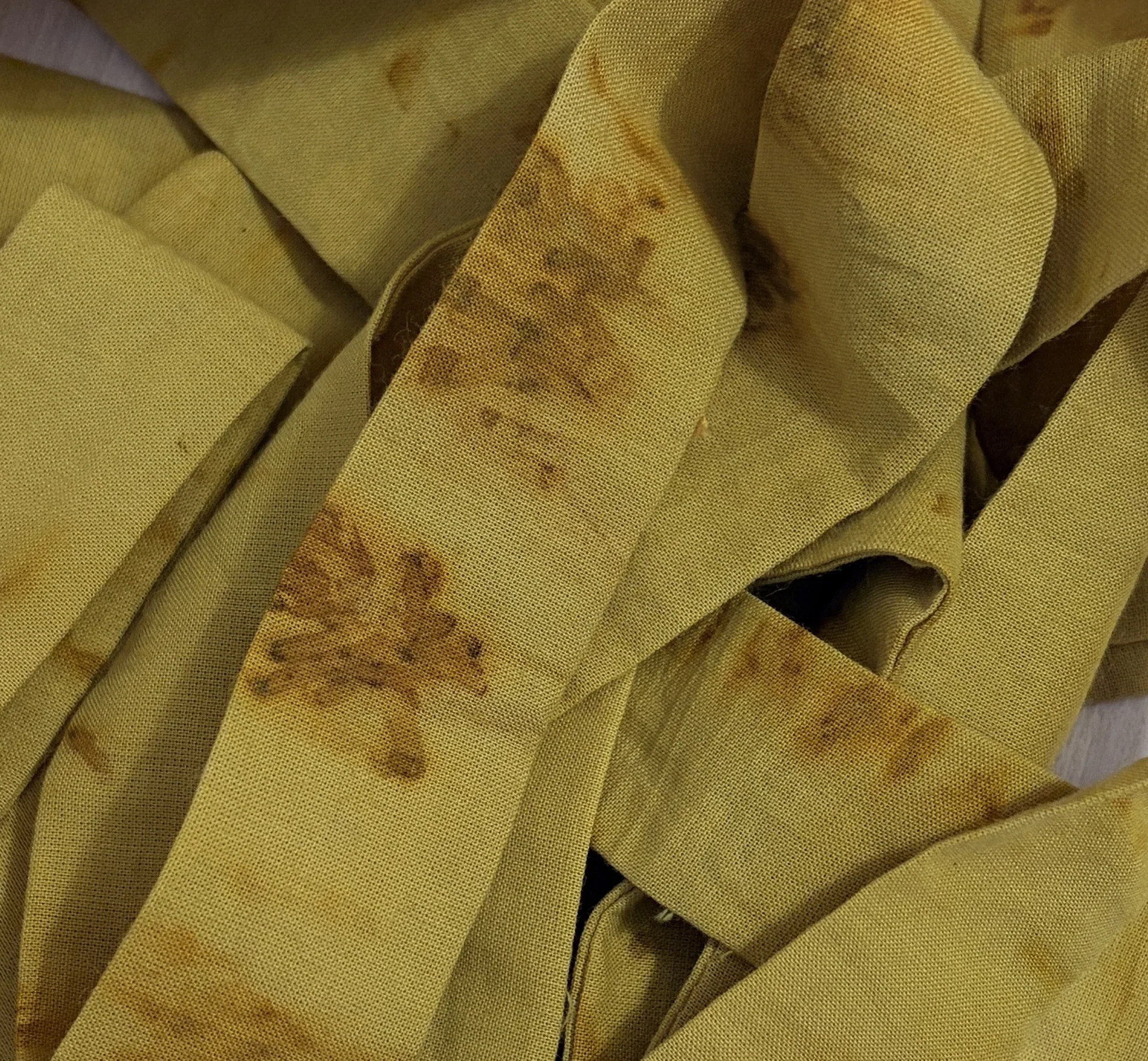 IMG_4189 2_resultado.webp