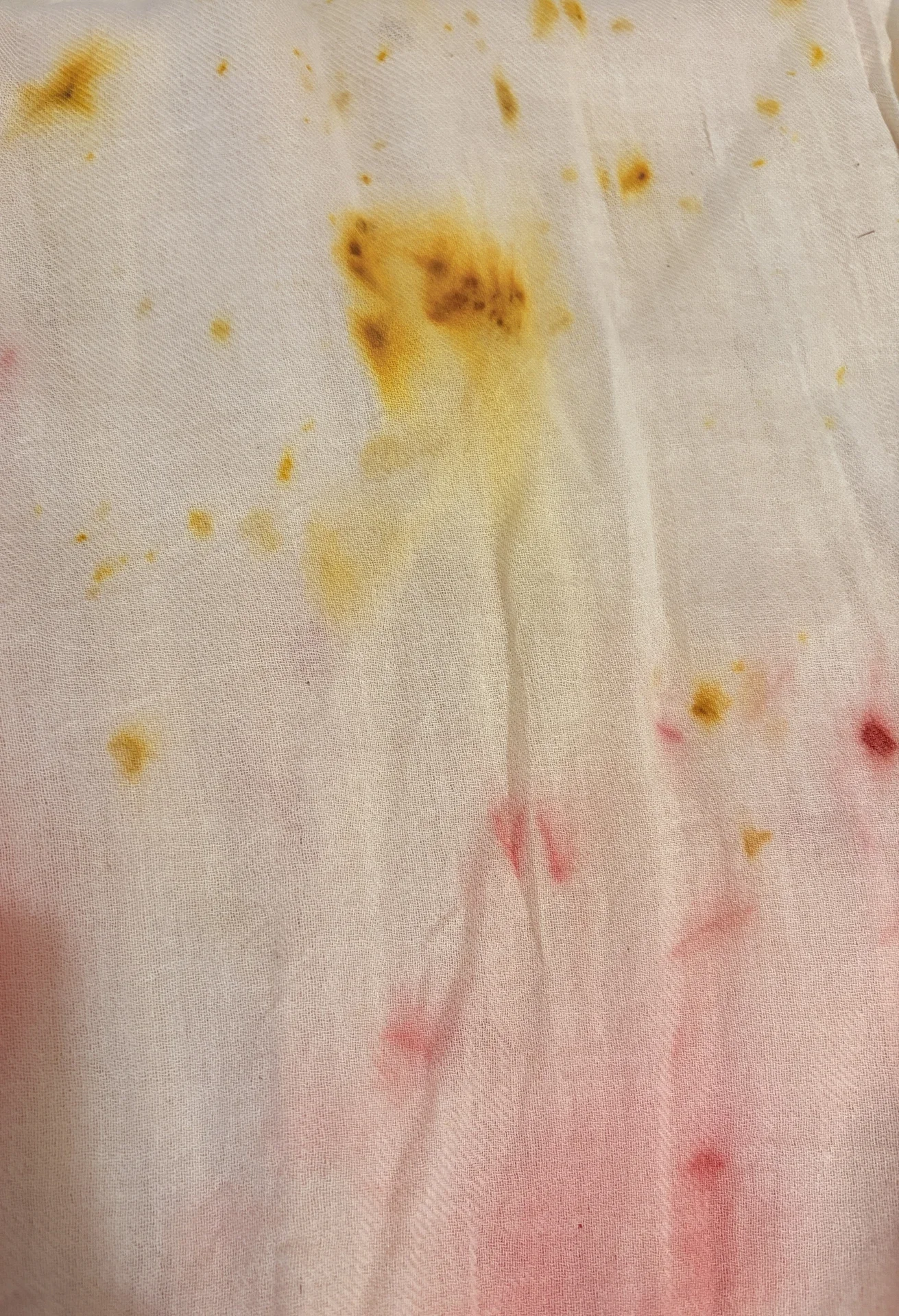 IMG_4188 2_resultado.webp