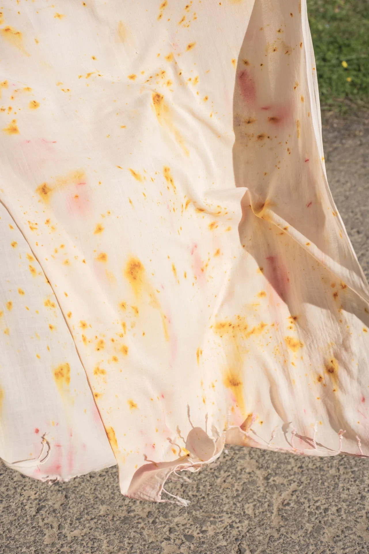 _DSC2063 copia 2_resultado.webp