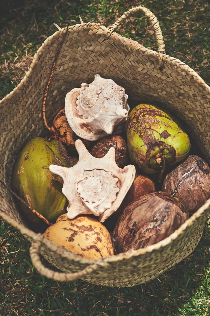 A woven basket containing various large seashells and gourds, placed outdoors on grass.