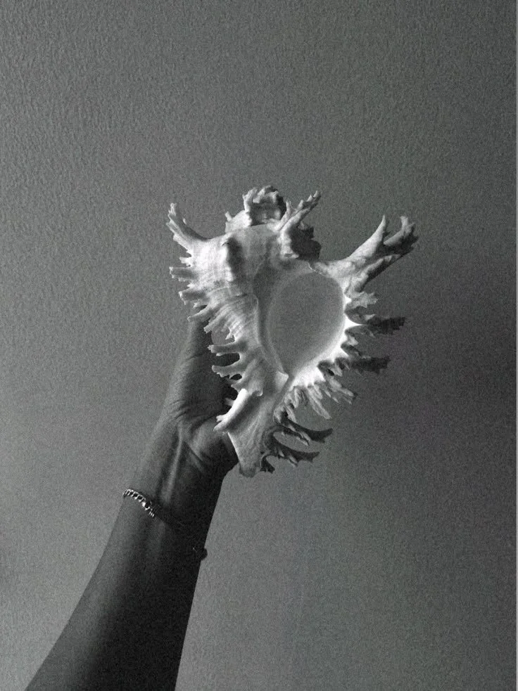 A person holding a large seashell against a plain background.