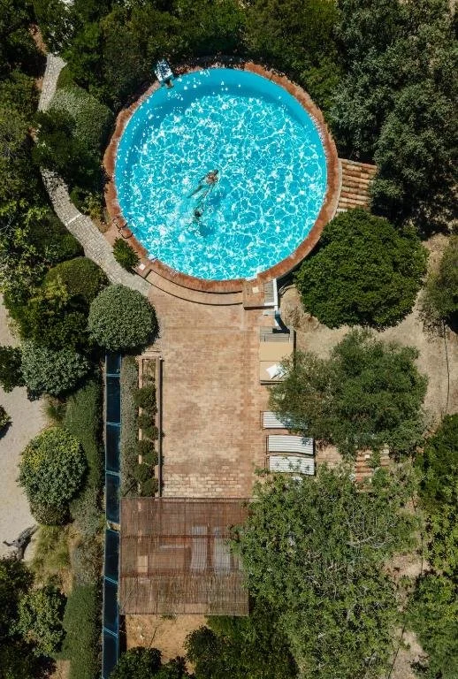 A person swimming in a circular outdoor swimming pool surrounded by trees and greenery.