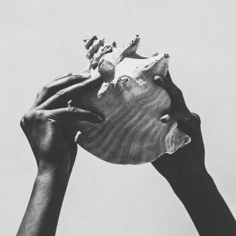 Two hands holding a large shell with coral inside, against a plain background.
