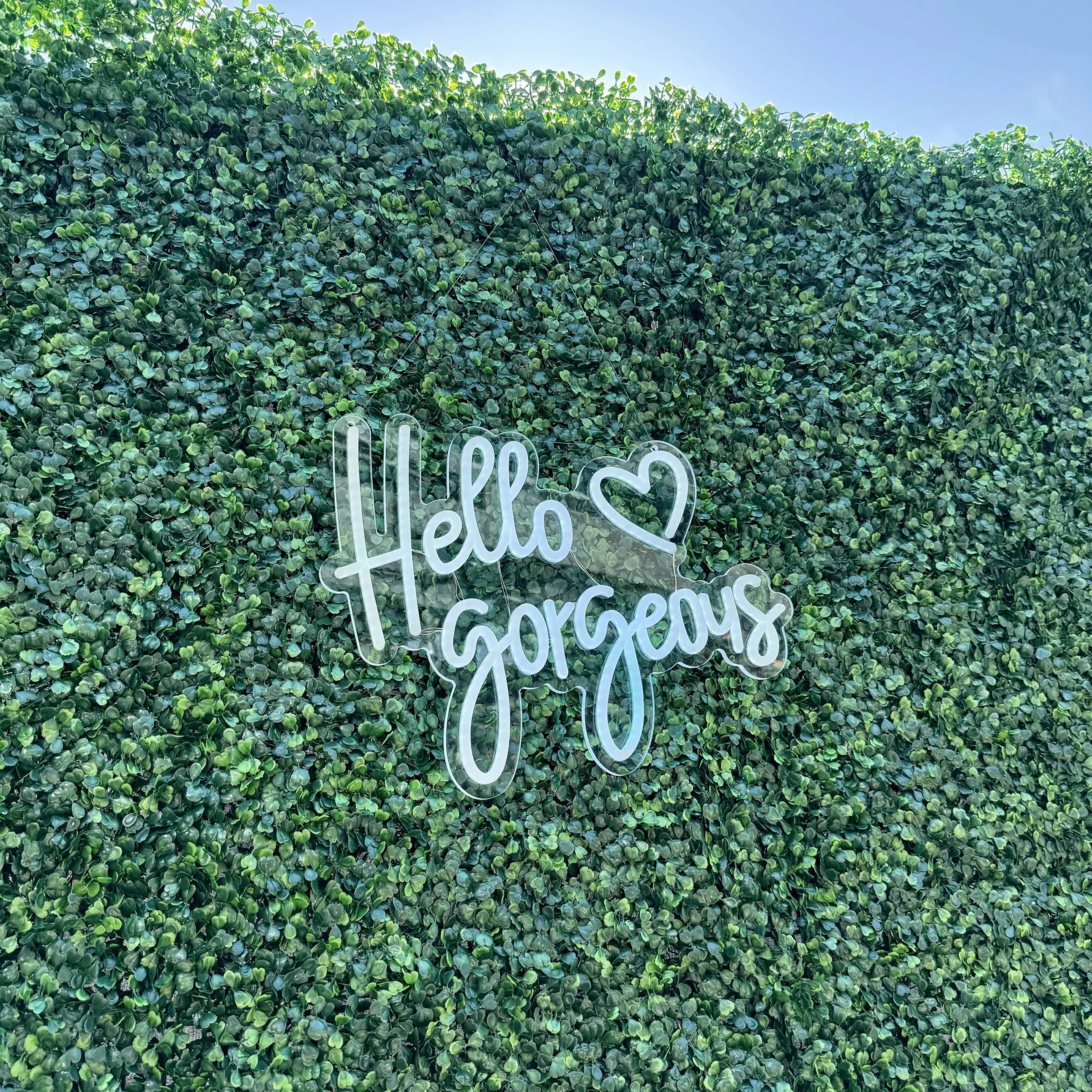 hello gorgeous sign.webp