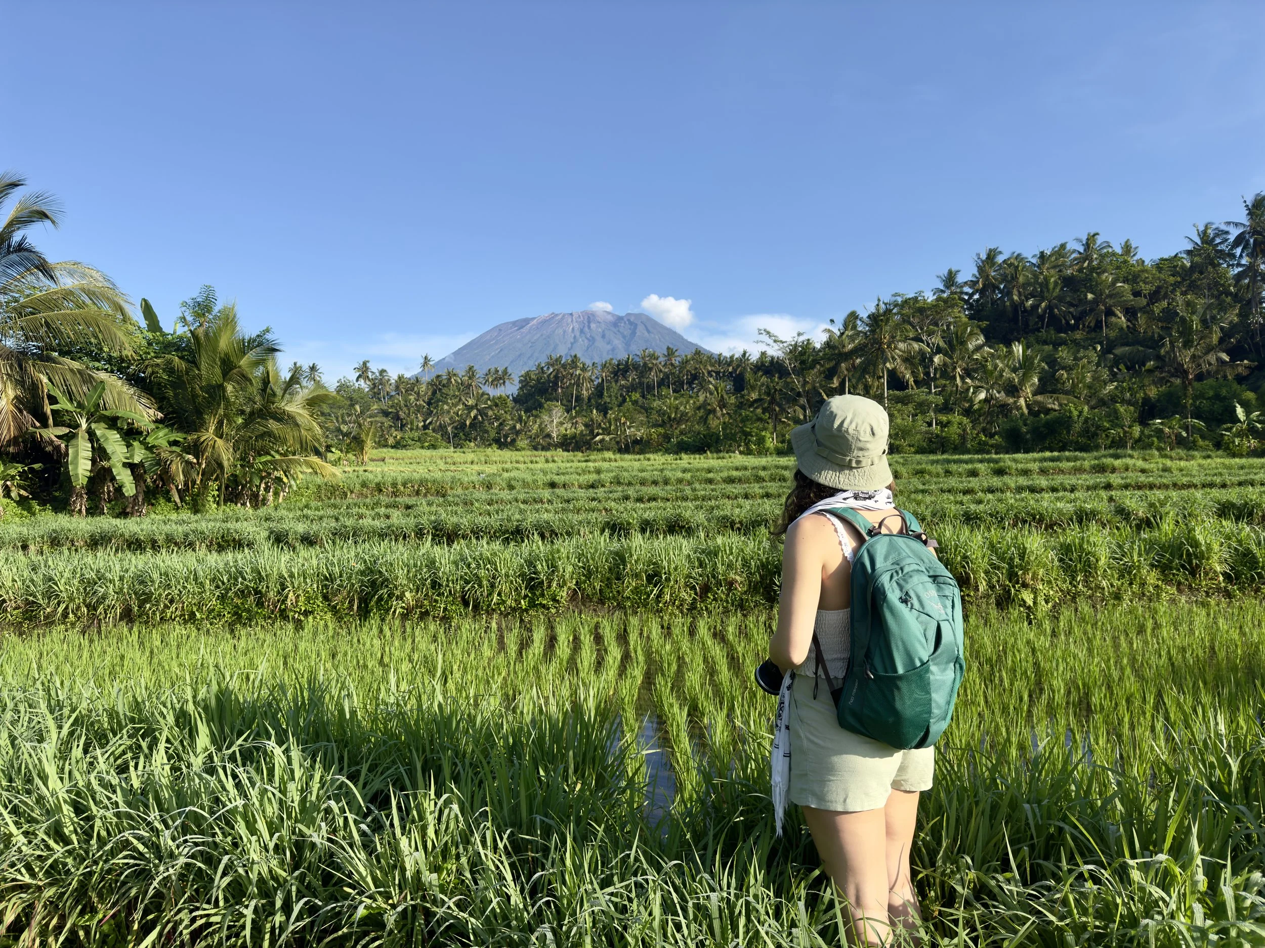A woman wearing a green hat, shorts, and a backpack stands in a lush green agricultural field with her back facing the camera. There are palm trees and a mountain in the background under a clear blue sky.