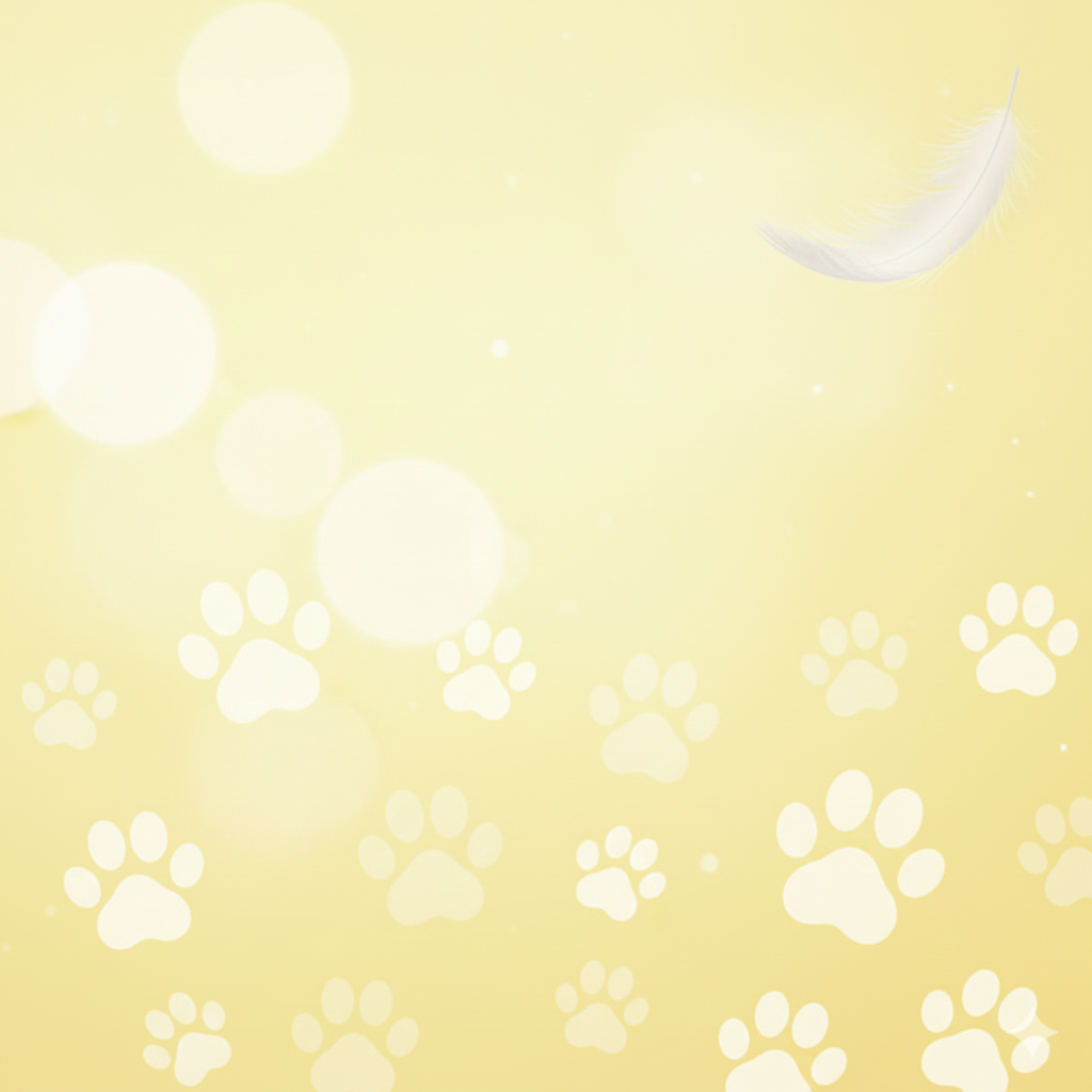 A soft yellow background with paw prints, bright circles, and a white feather in the top right corner.