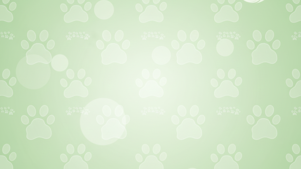Light green background with a pattern of white paw prints and small hearts.