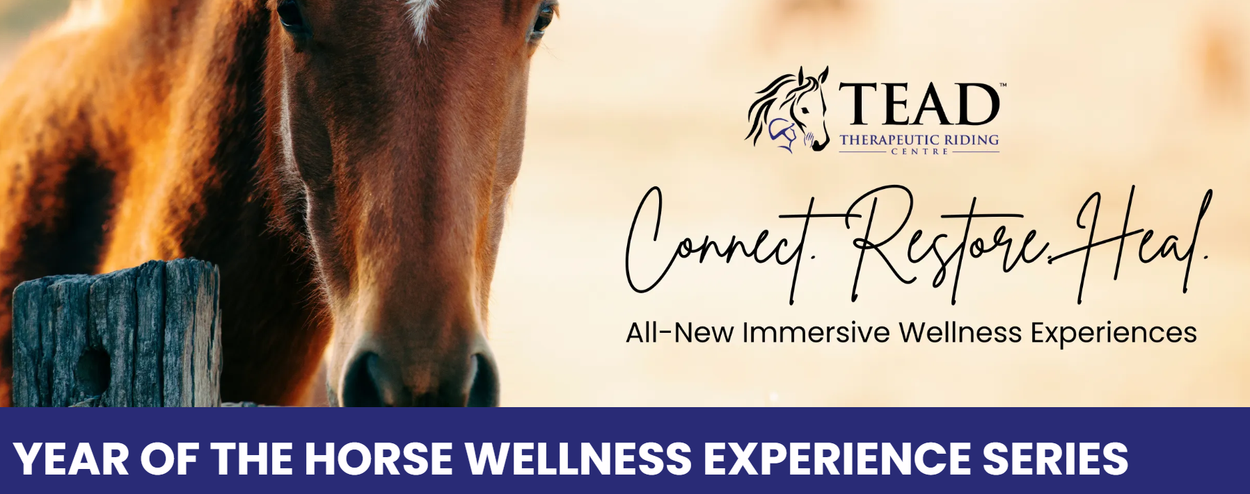 Year of the Horse - Immersive Wellness Experience 