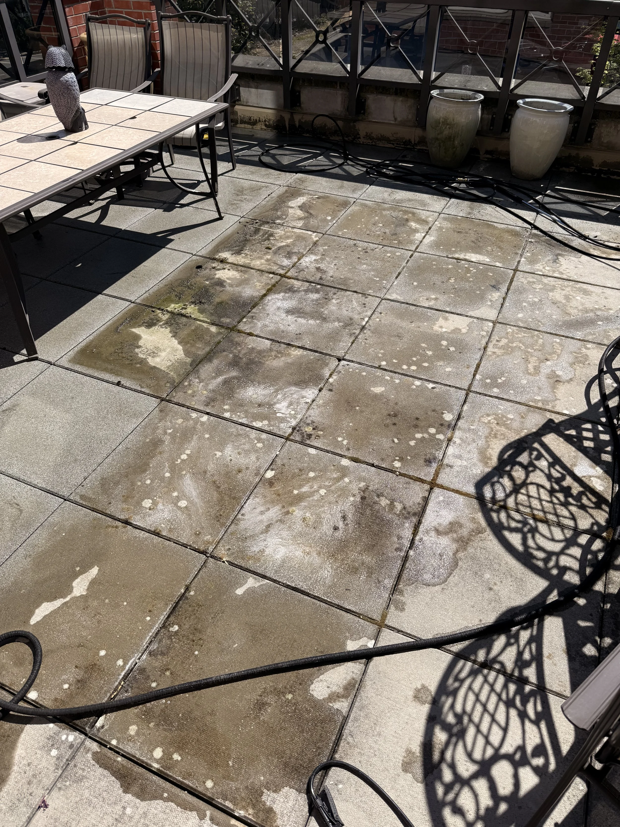 Dirty outdoor patio with stained and moldy concrete tiles, black garden hoses, a patio table with a leopard-print item on it, and cast iron chairs casting decorative shadows.