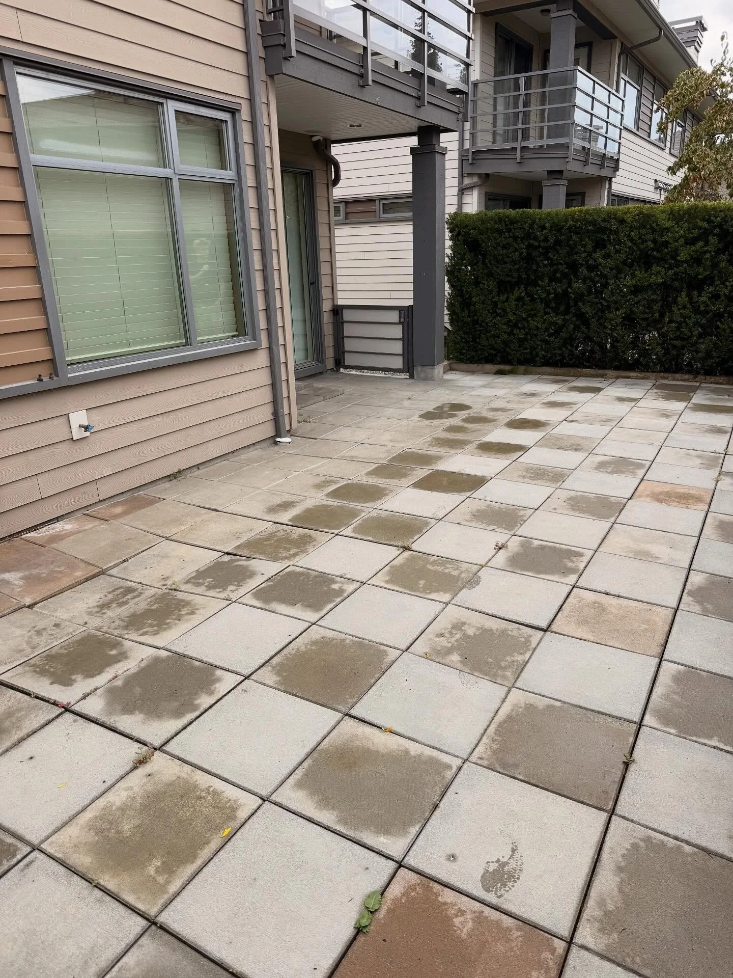 Hi there! We are Pacific Breeze Services. Proudly serving South Surrey, and the Lower Mainland! We&rsquo;re the reliable team you&rsquo;re looking for; whether it&rsquo;s clearing out your yard / garage, to removing snow off your driveways and sidewa