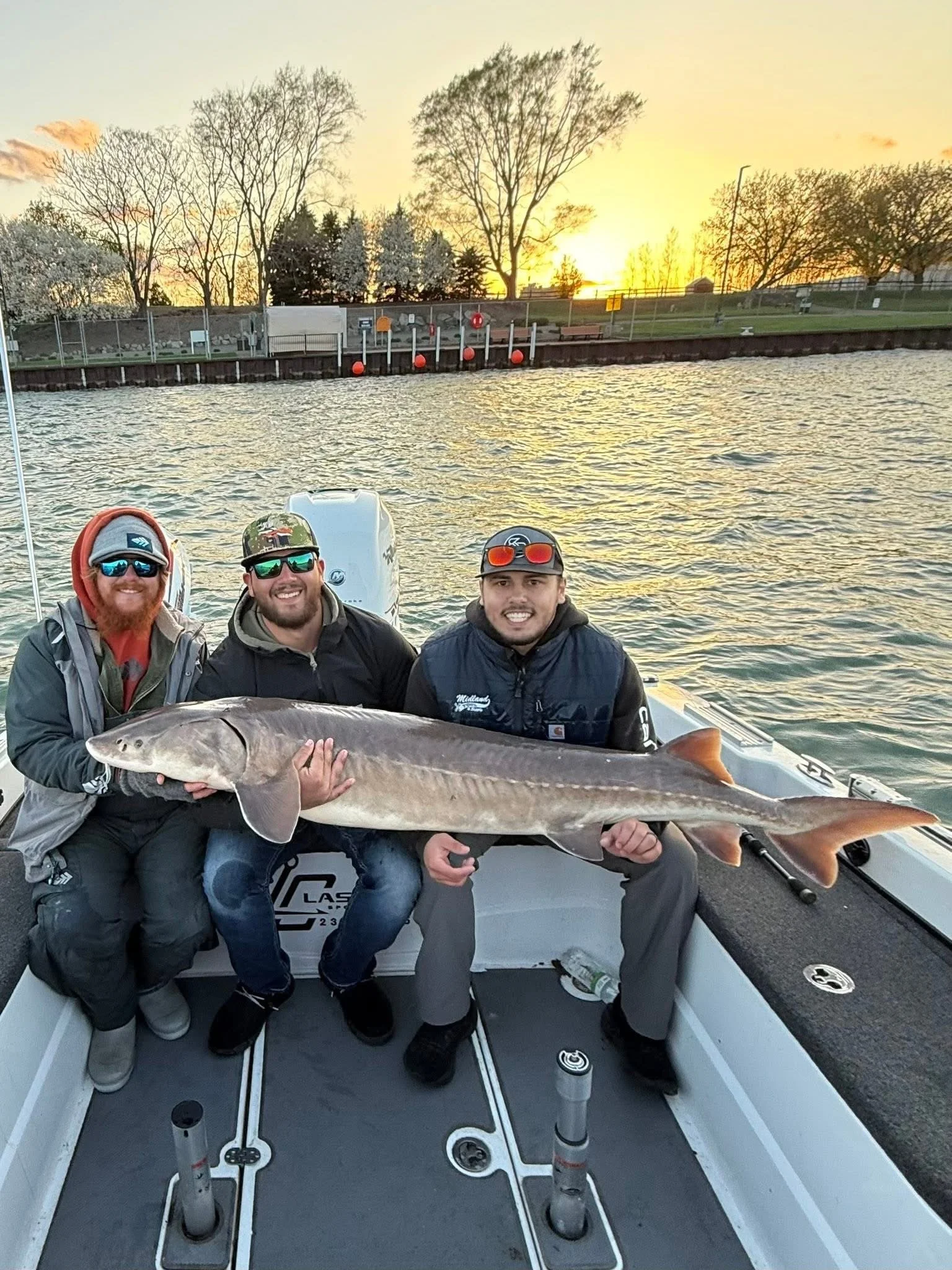 Three men on a boat holding a large fish, with a sunset over a shoreline with trees and a fence in the background.