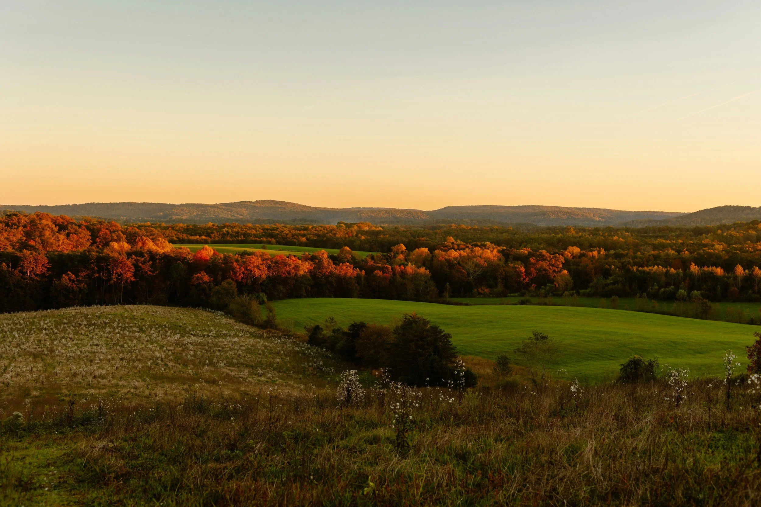 Scenic landscape of rolling green fields, colorful trees in fall, and distant hills under a clear sky at sunset.
