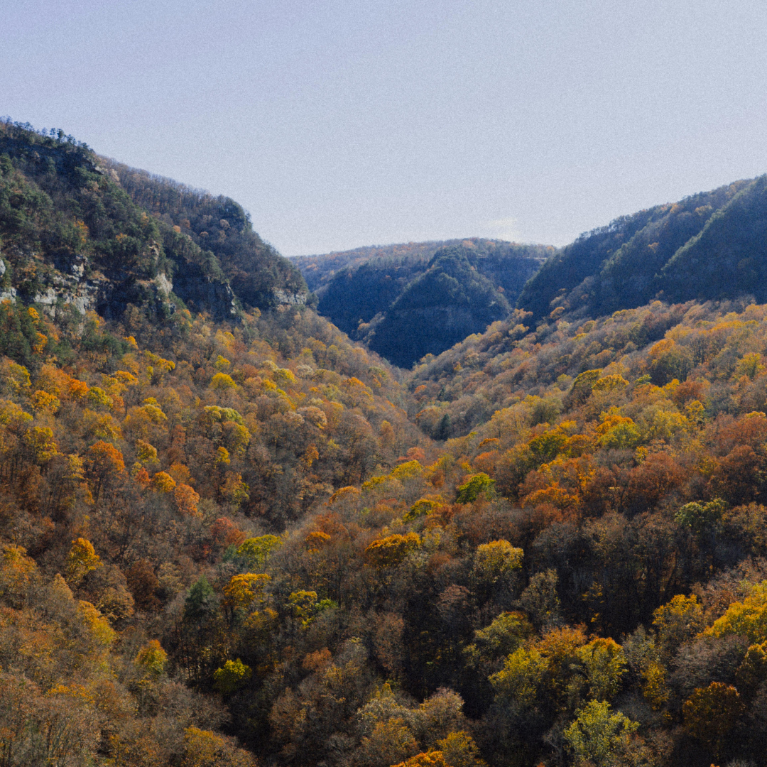 A scenic view of a valley with forested mountains in autumn, showcasing colorful fall foliage in shades of orange, yellow, and green under a clear blue sky.