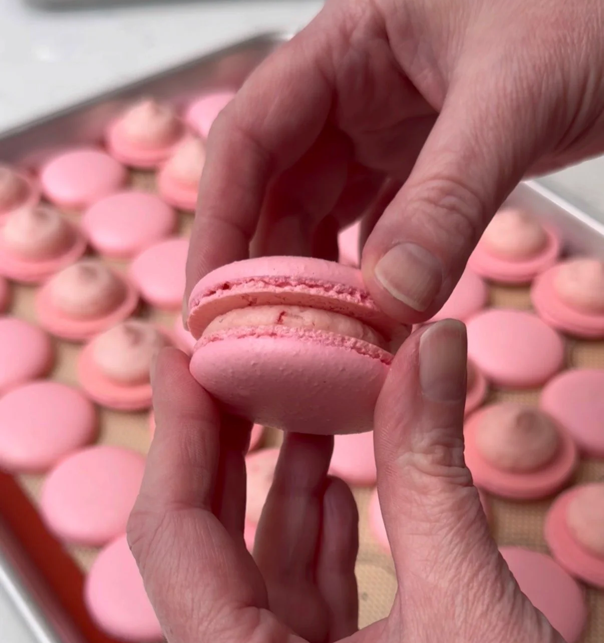 French Macaron Recipe