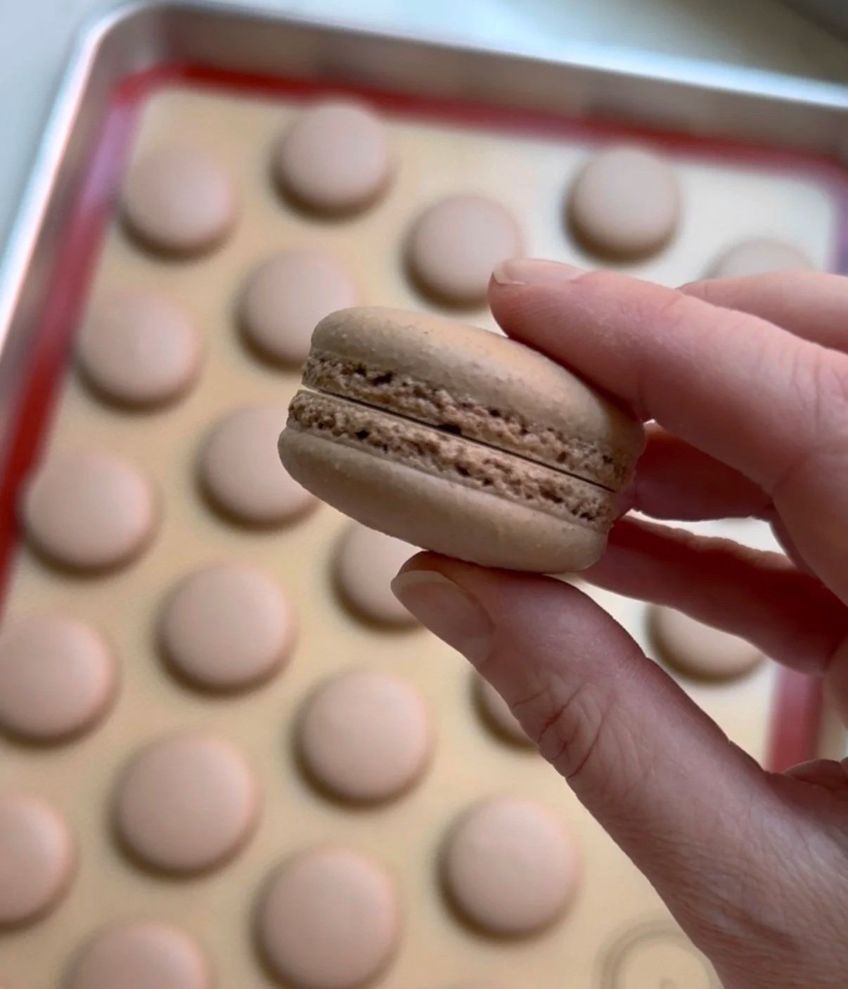 Chocolate Macaron Recipe 