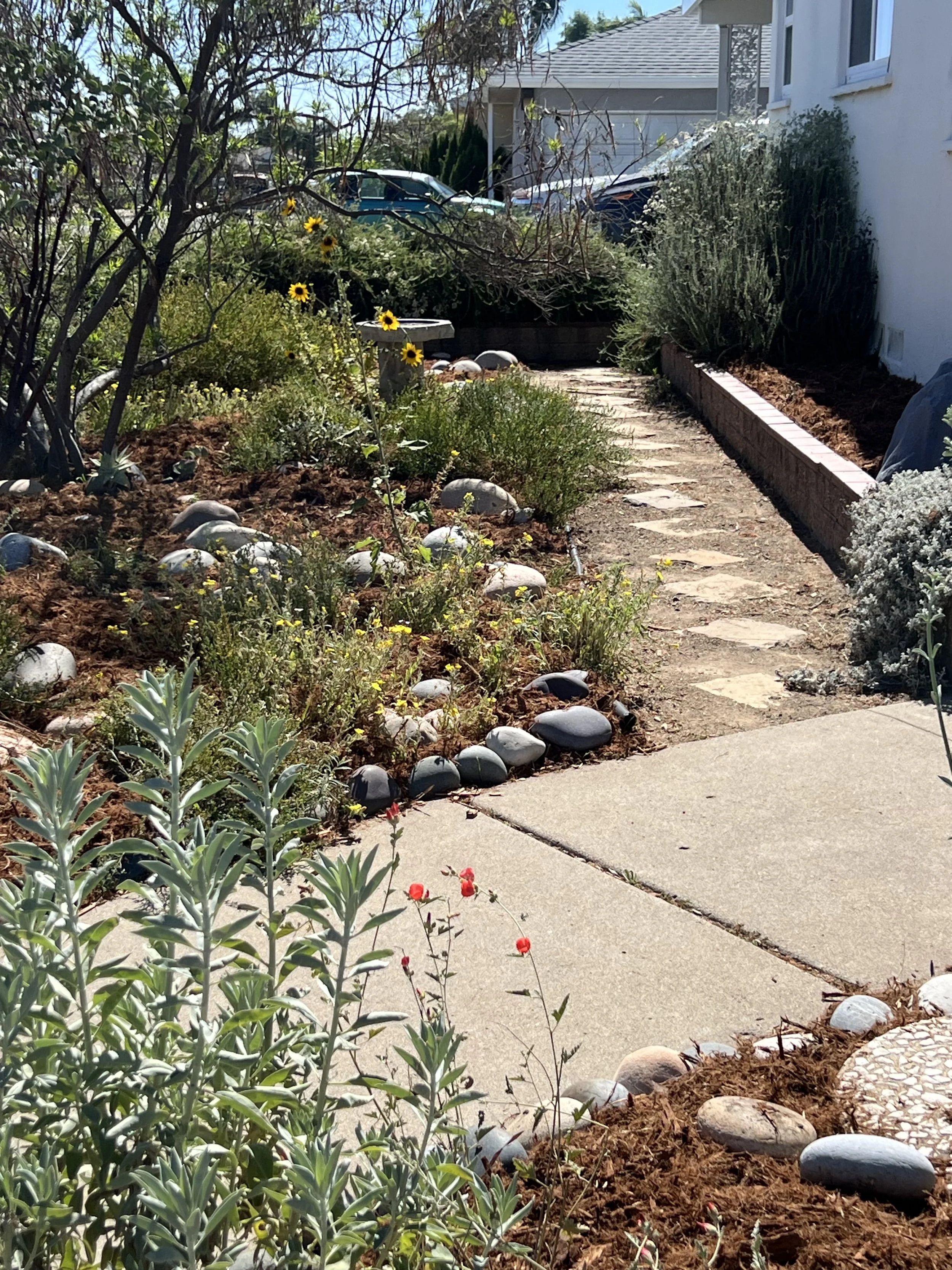 Restoring balance through care