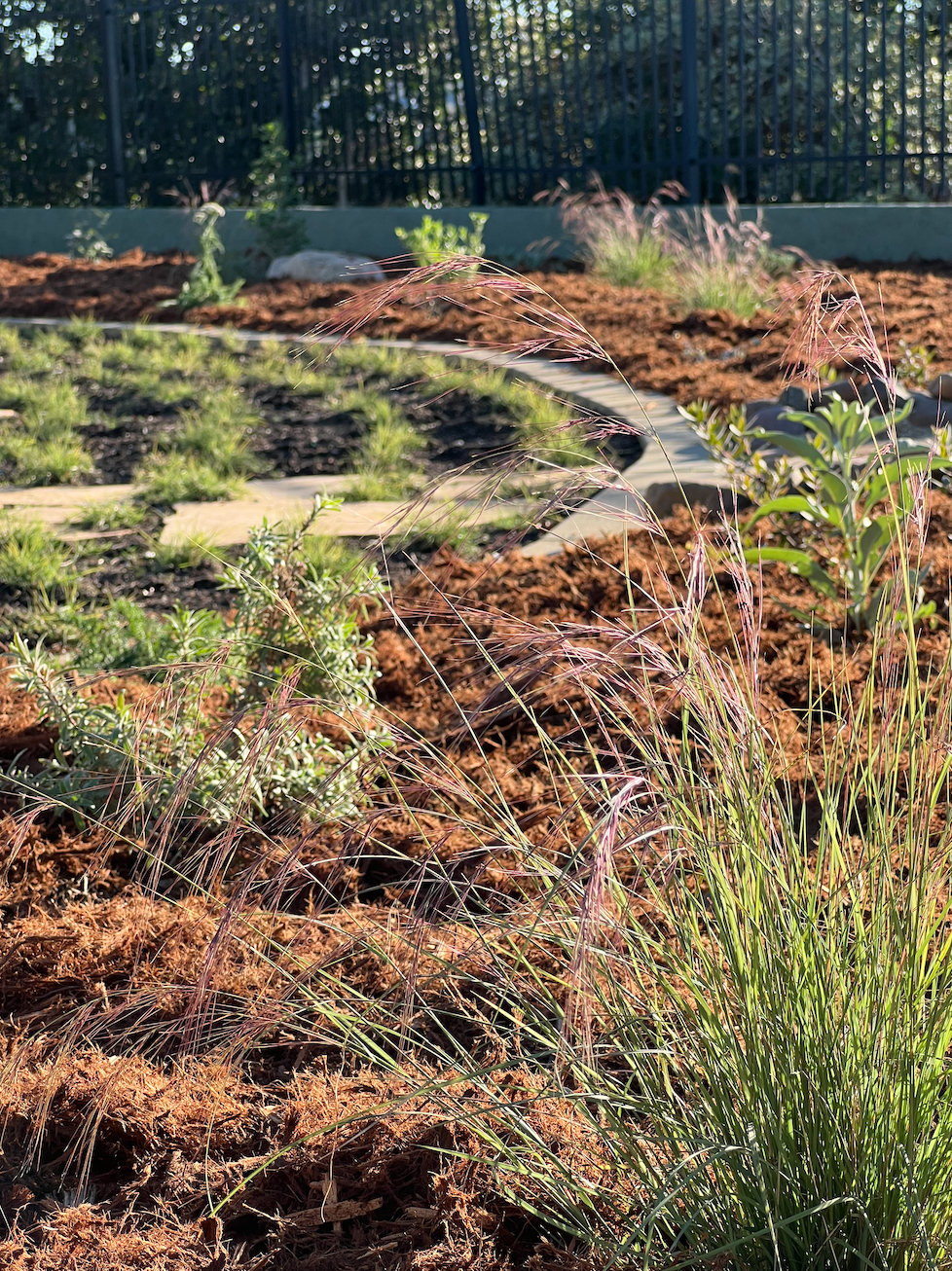 Screen Shot 2025-12-10 at 3.28.54 PM.png