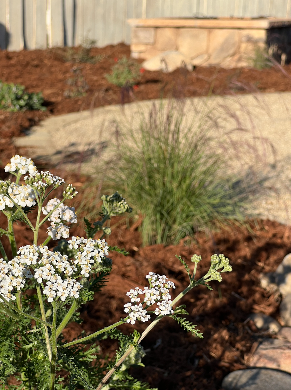 Screen Shot 2025-12-10 at 3.49.47 PM.png