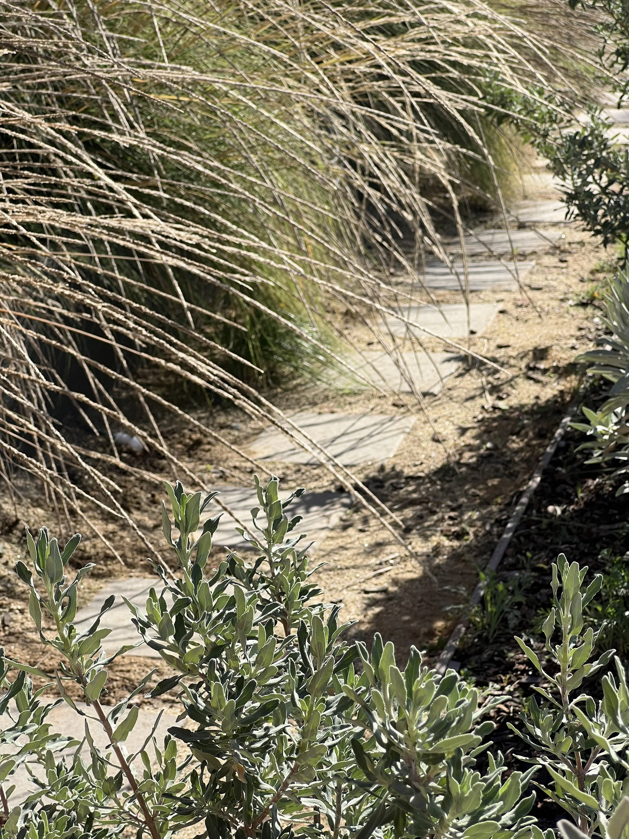 Maintenance, but make it cute.