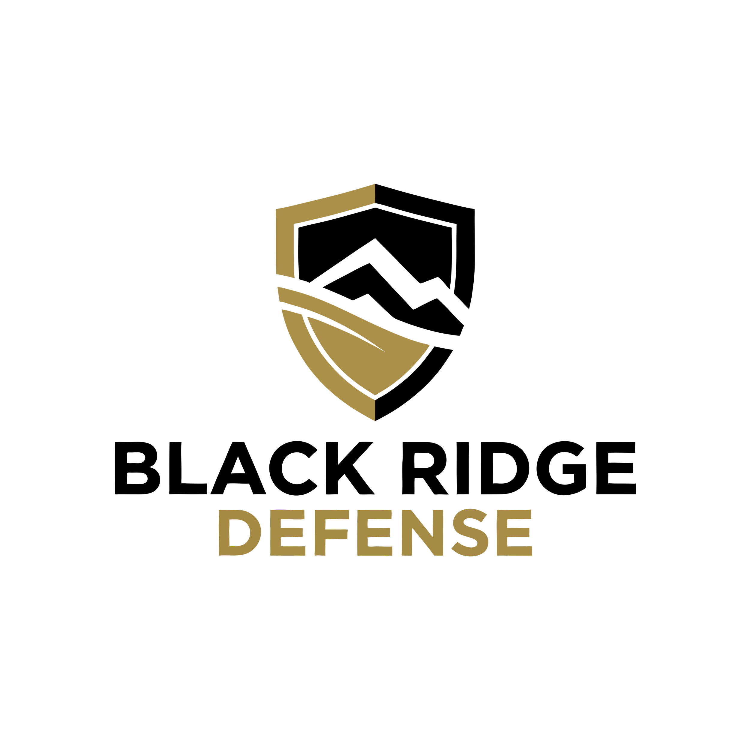 Black Ridge Defense LOGO