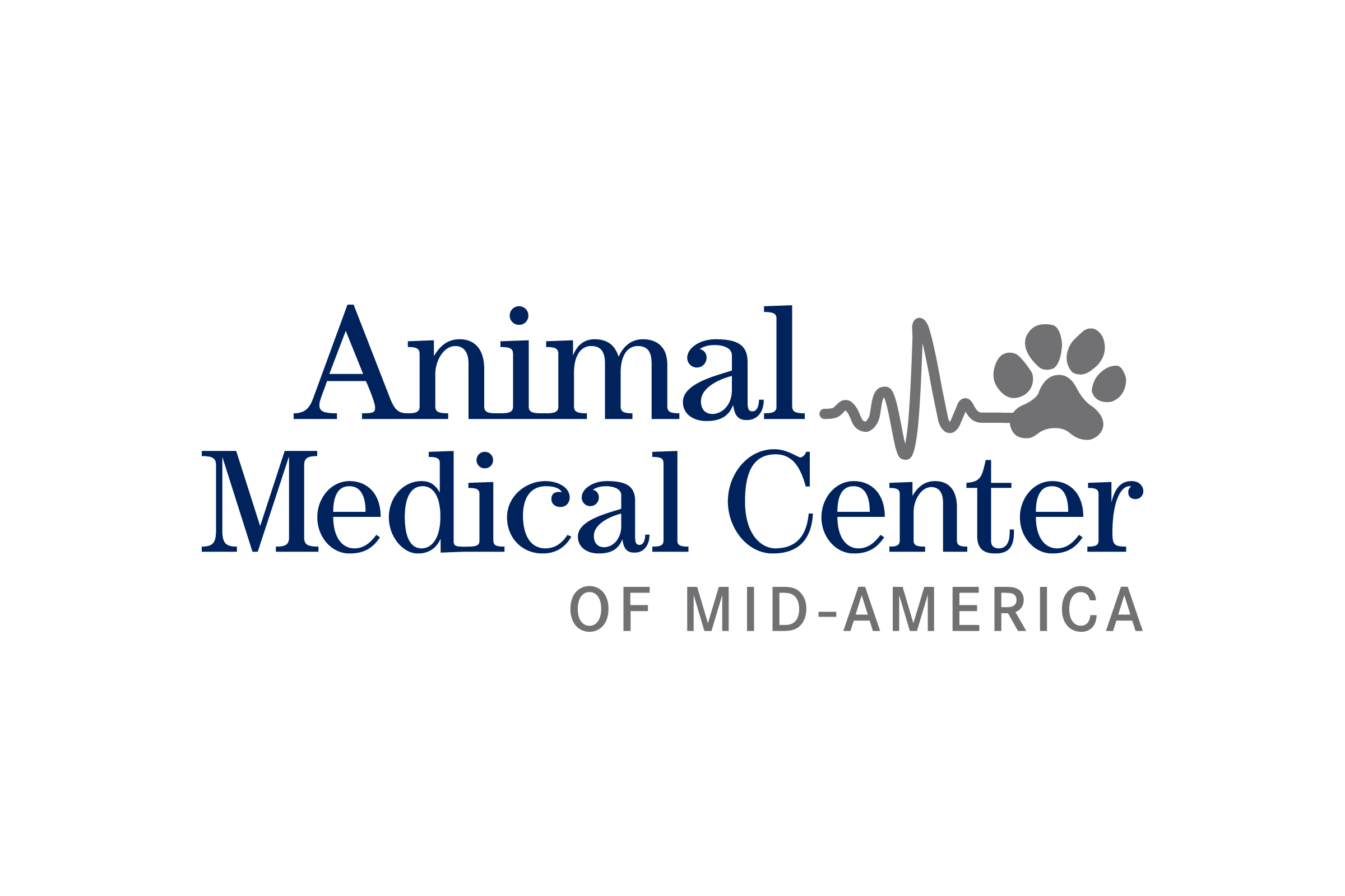 ID_HSMO-MedicalCenter.png