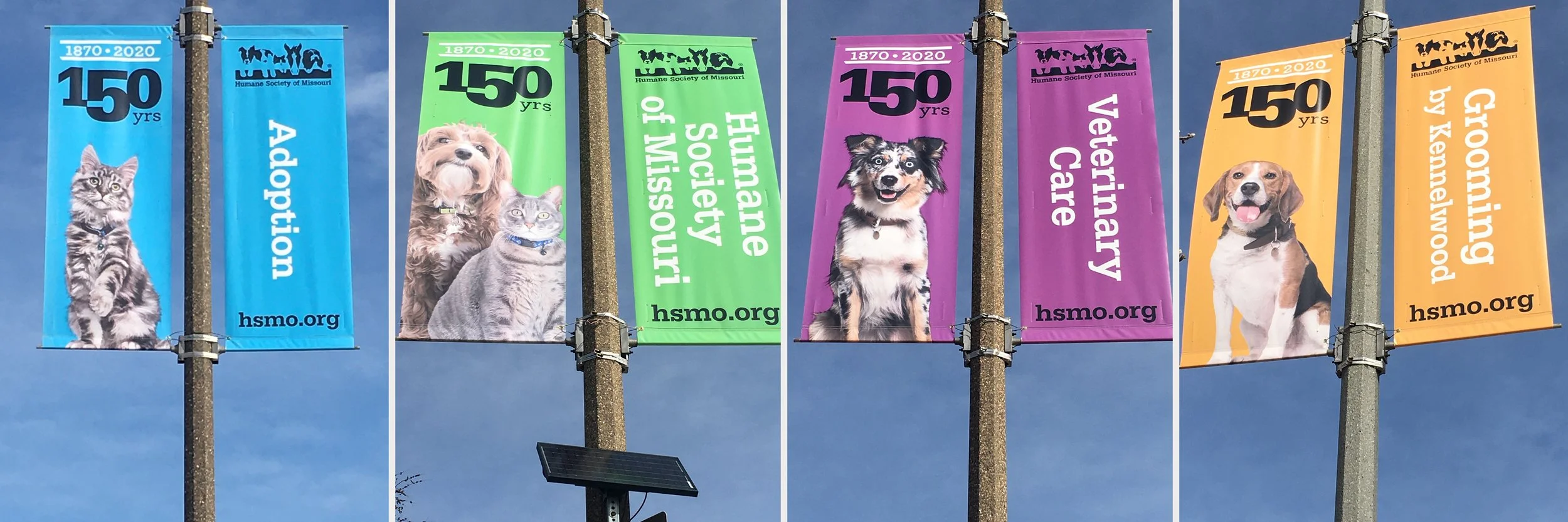 EV_HSMO-PoleBanners.jpg