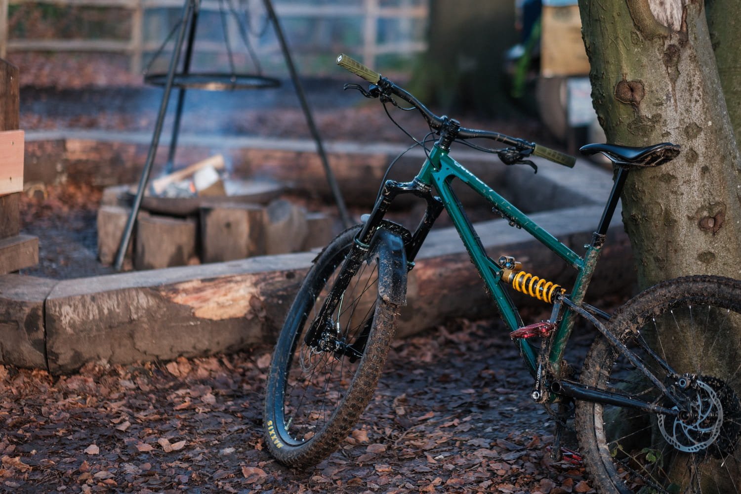  Bike parked up against a tree in the Surrey Hills 