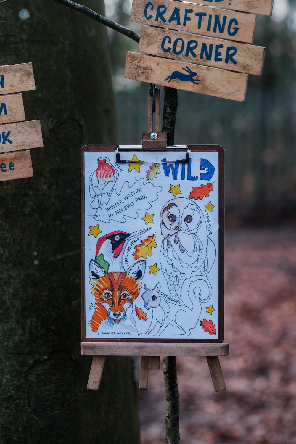 Kids craft corner that includes nature themed colouring sheets, located at Norbury Park.