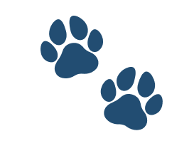 Two blue paw prints on a black background.