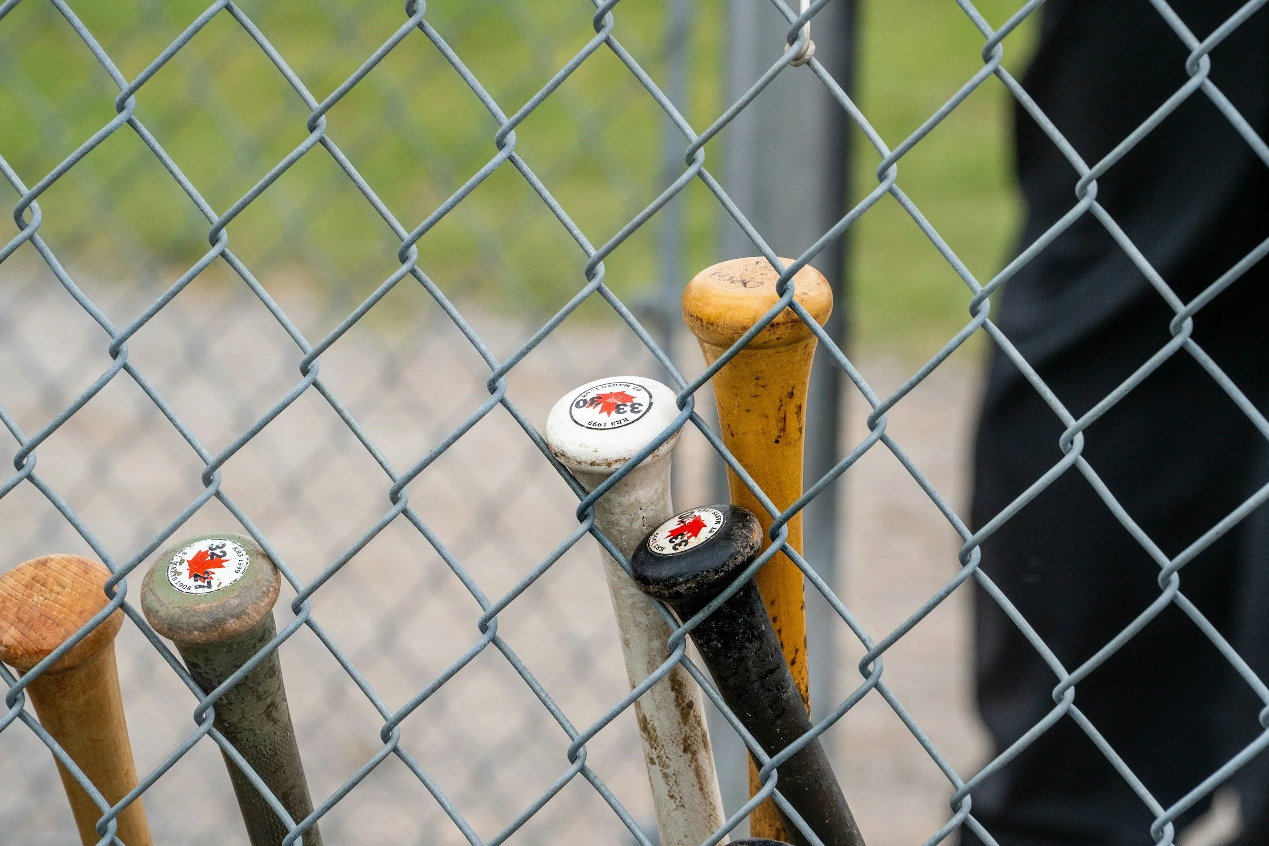 Baseball bats stored behind a chain-link fence.