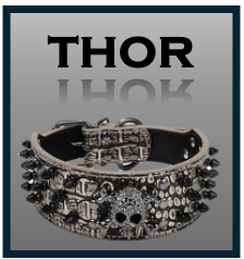 'THOR'  -  Treat Package