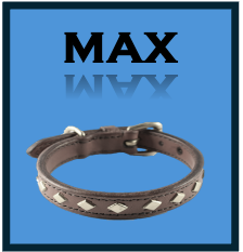 'MAX'  -  Treat Package