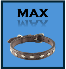 max.png