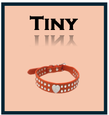 'TINY'  -  Treat Package