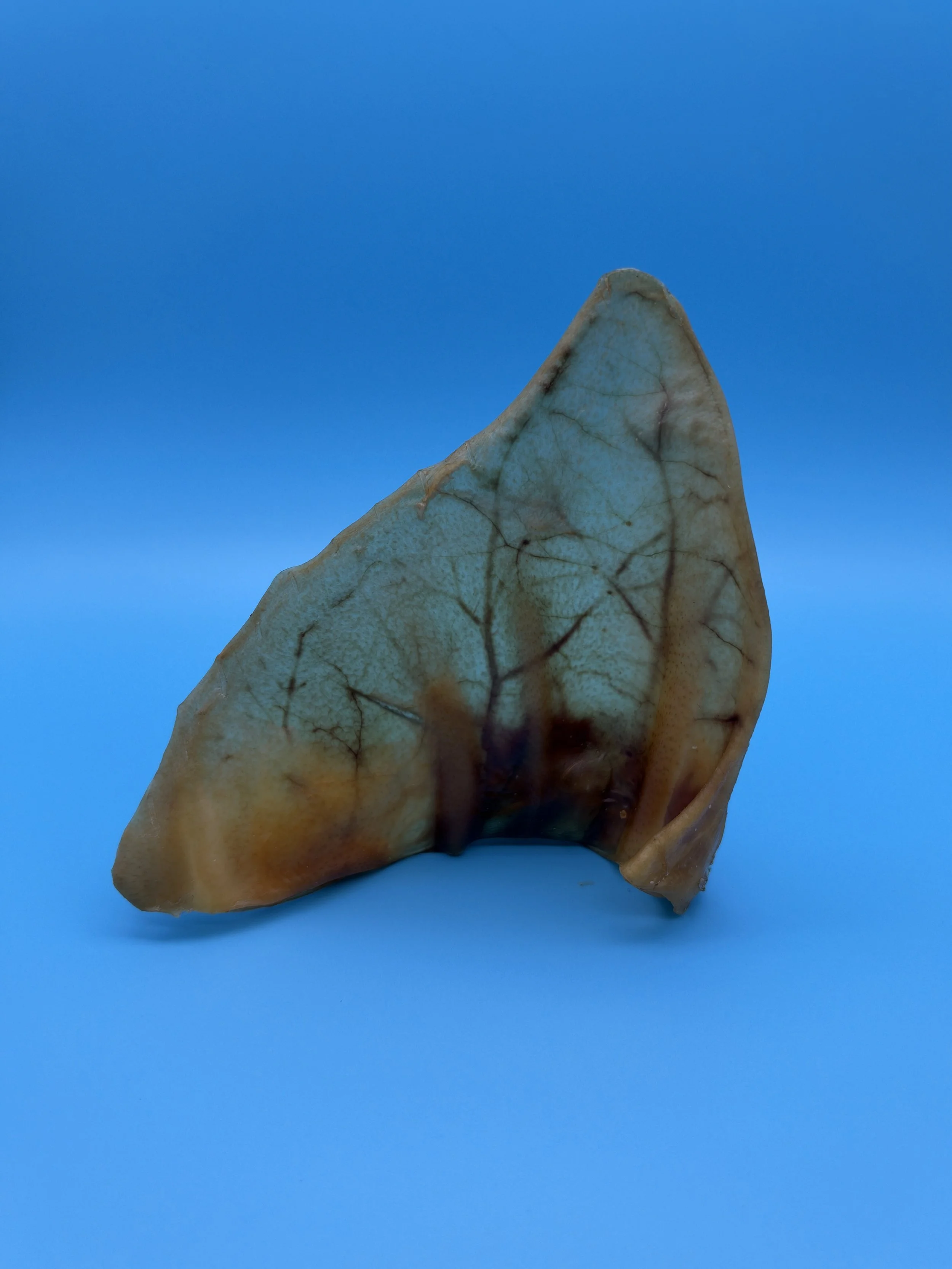 Pig Ears
