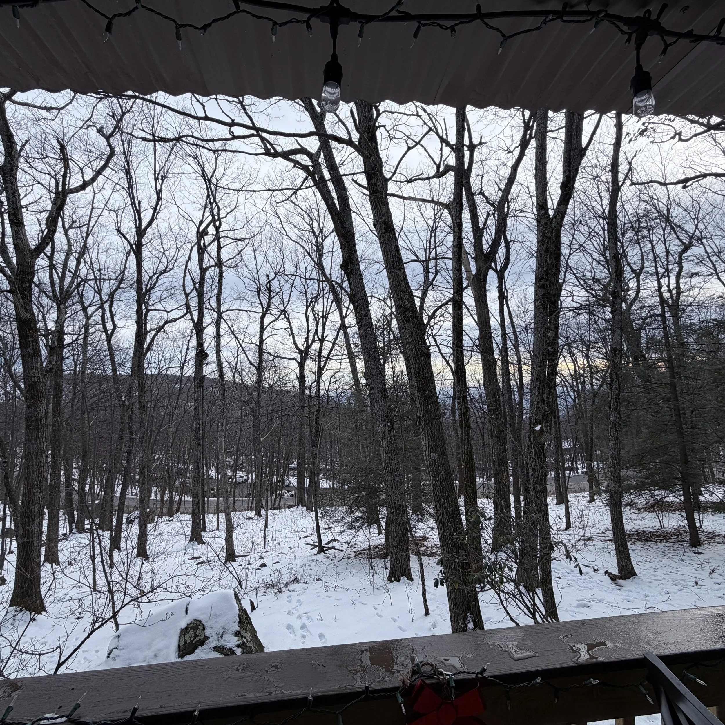 View of a snowy forest with leafless trees from a porch, with string lights hanging from the porch ceiling.